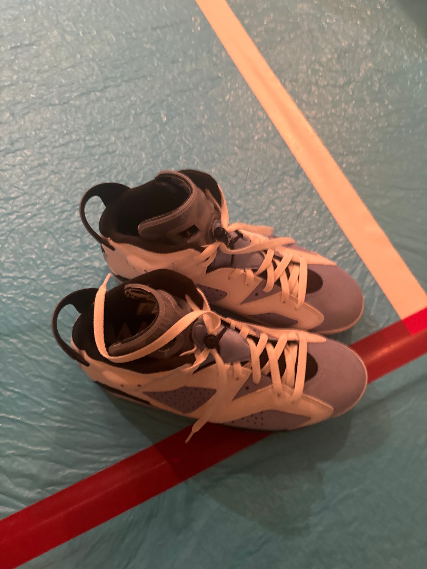 Jordan 6 UNC